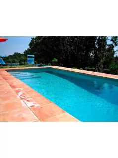   ELBTAL Elite szöveterősített fólia 1,5mm 1,65m Grey Rock .-/m2